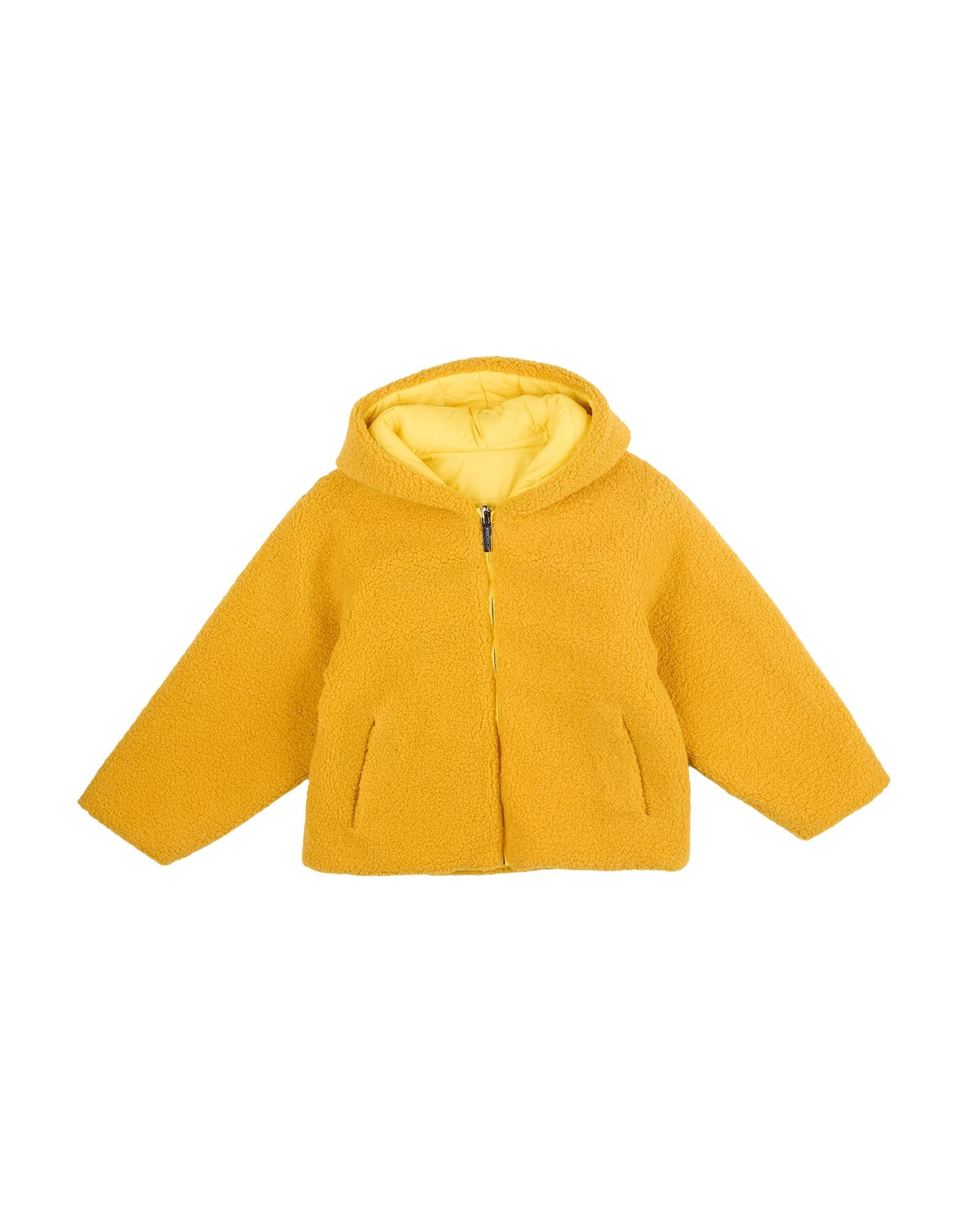 FREEDOMDAY - Shearling & Teddy