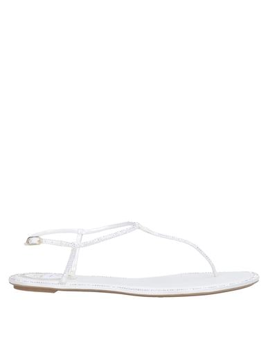 René Caovilla Flip Flops In White