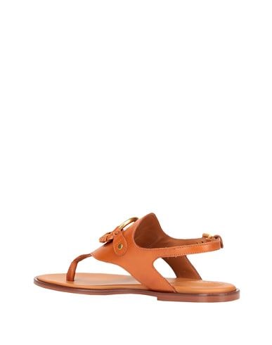 Shop See By Chloé Hana Woman Toe Strap Sandals Tan Size 6 Calfskin In Brown