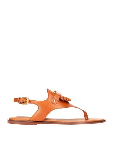 Shop See By Chloé Hana Woman Toe Strap Sandals Tan Size 6 Calfskin In Brown