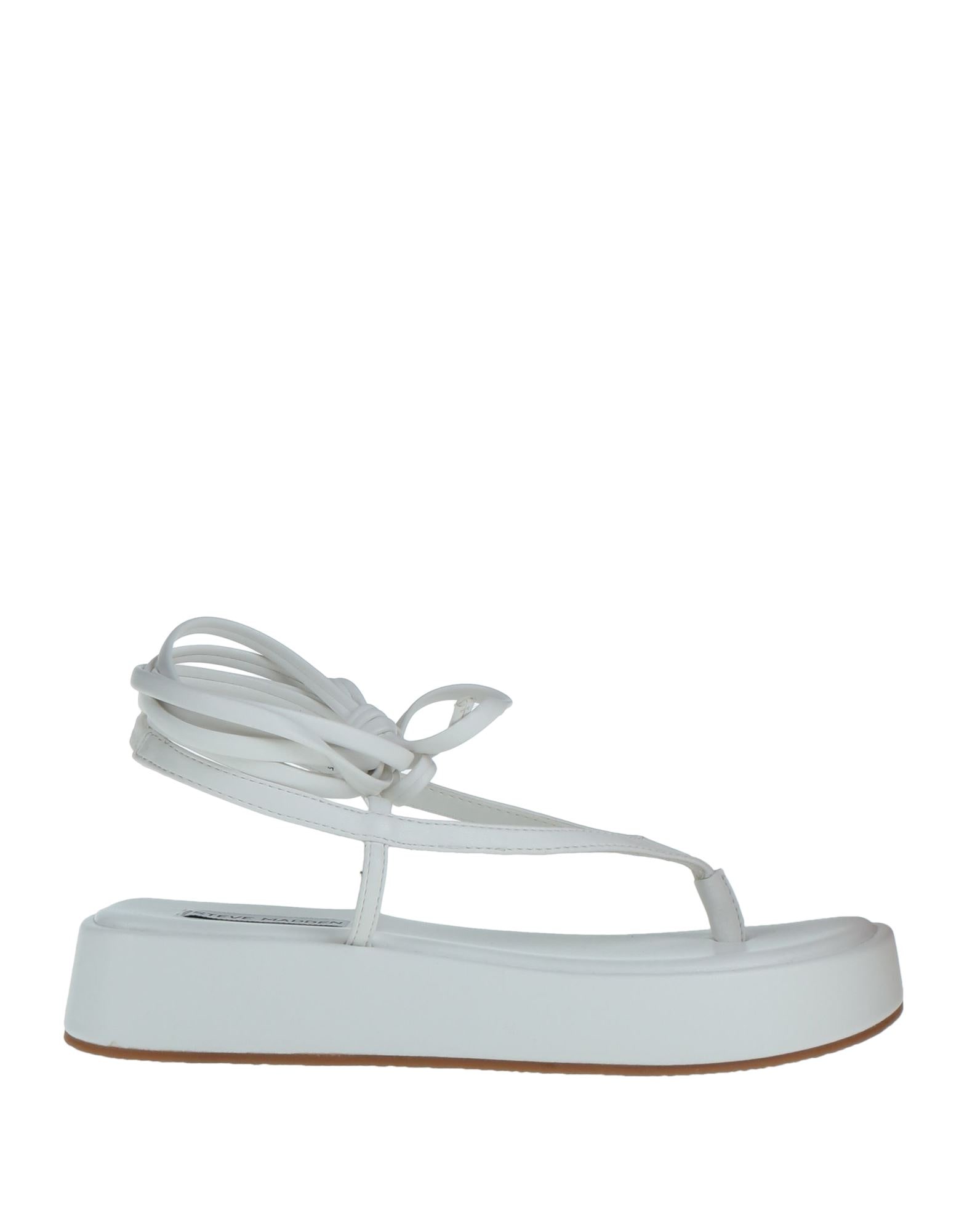 STEVE MADDEN - Thong sandals