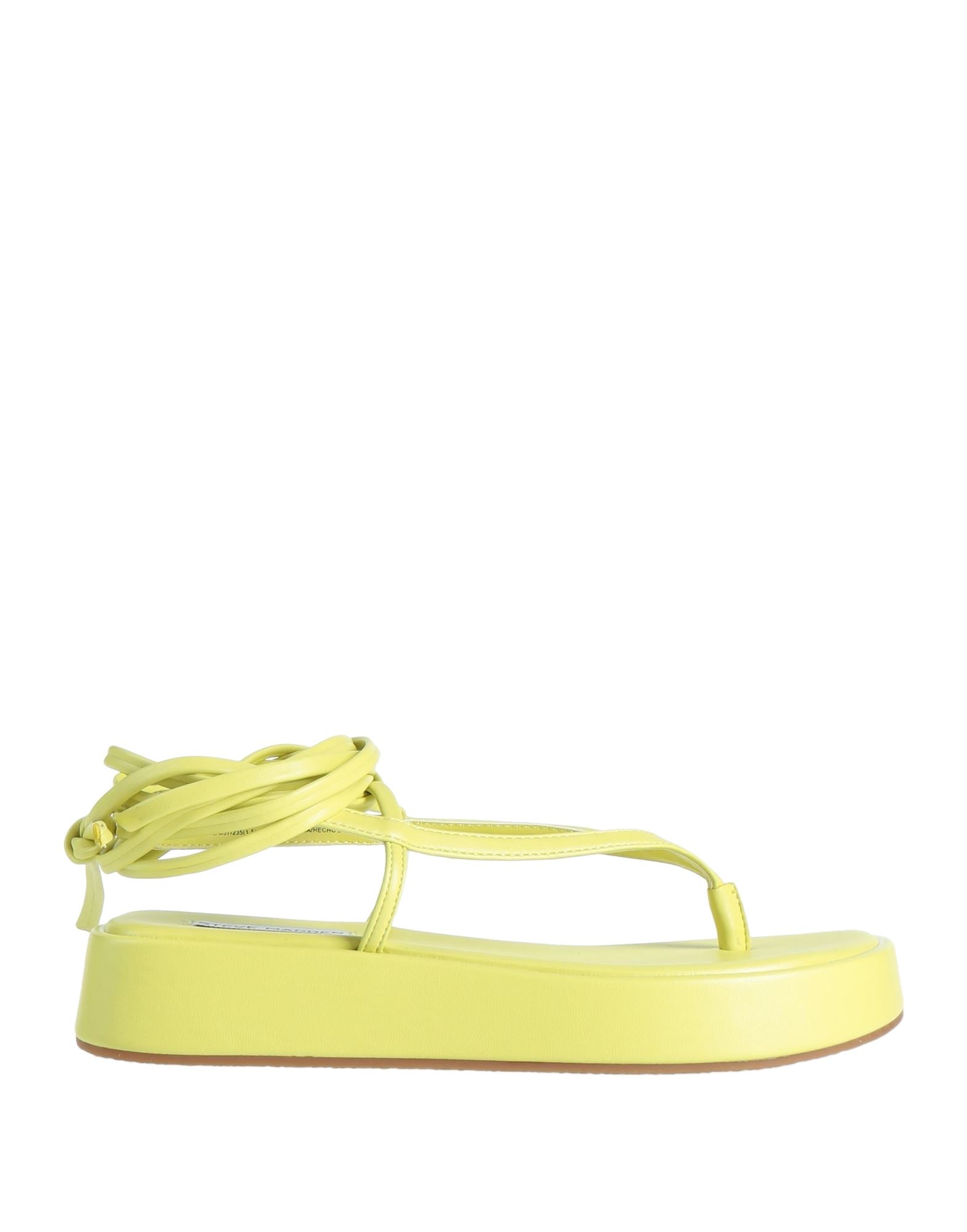 STEVE MADDEN - Thong sandals