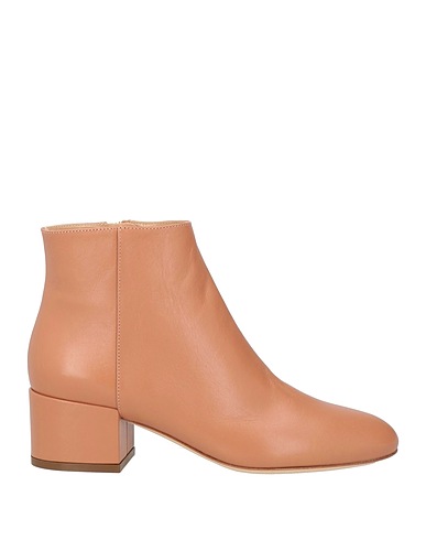 SERGIO ROSSI Ankle boot Blush Leather