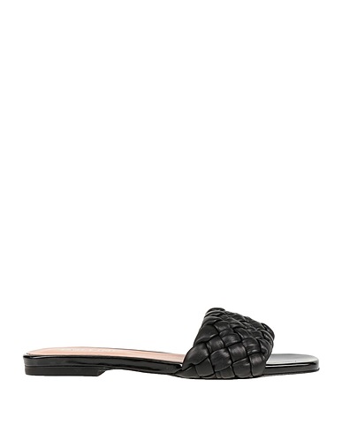 POLLINI