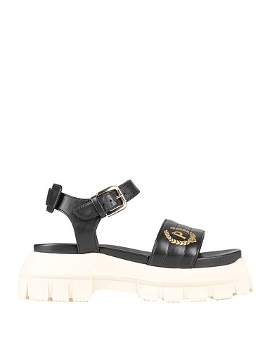 POLLINI
