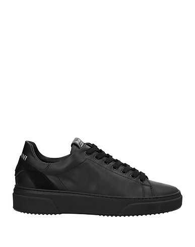 POLLINI