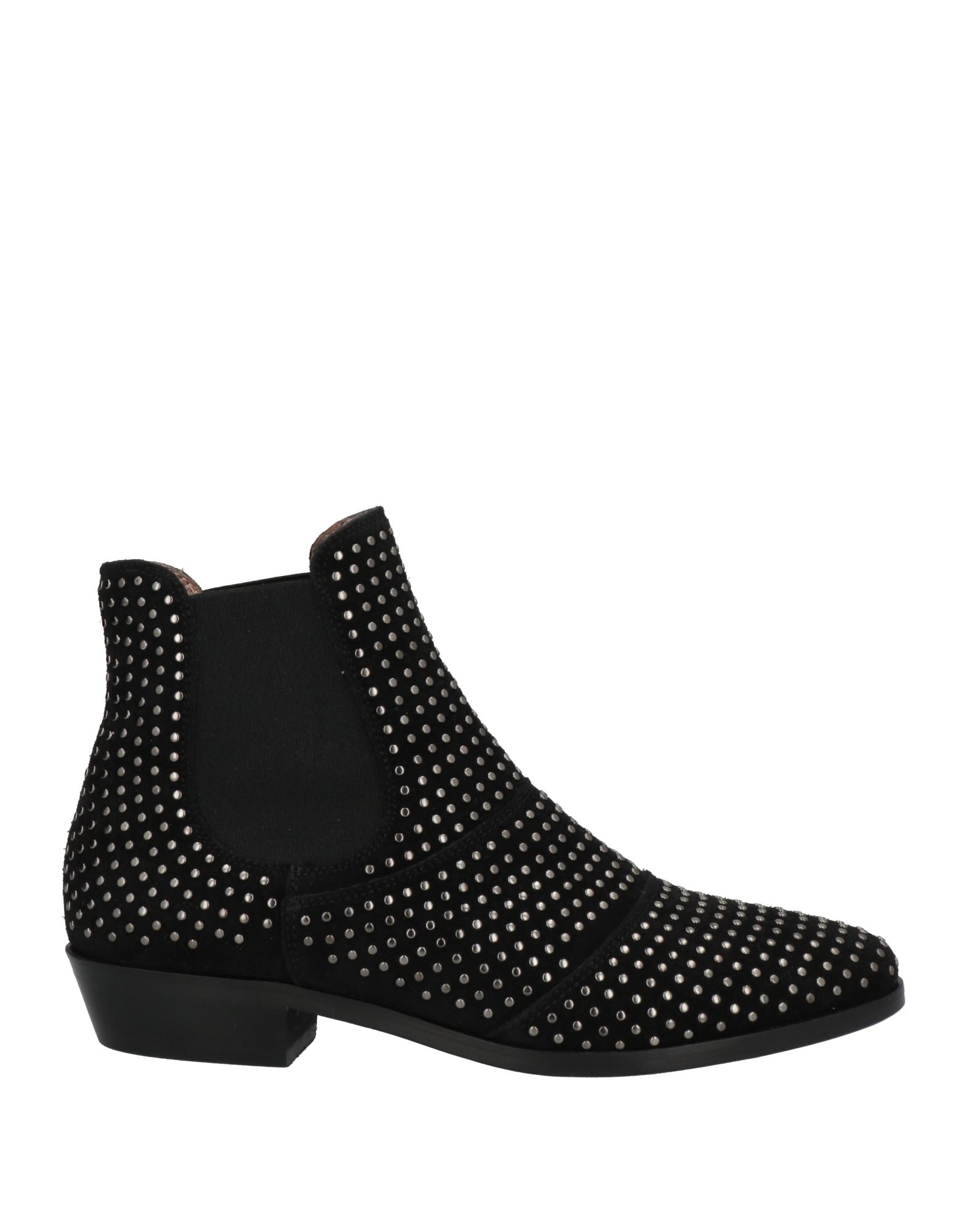 POLLINI - Bottines