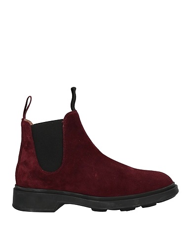 POLLINI