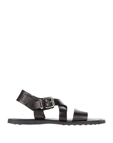 POLLINI