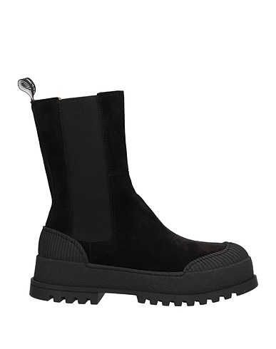 POLLINI
