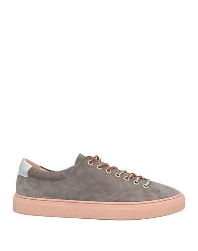 POLLINI