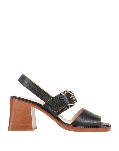 POLLINI