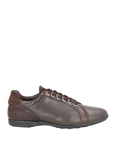 ROBERTO BOTTICELLI Sneakers Testa di moro Pelle