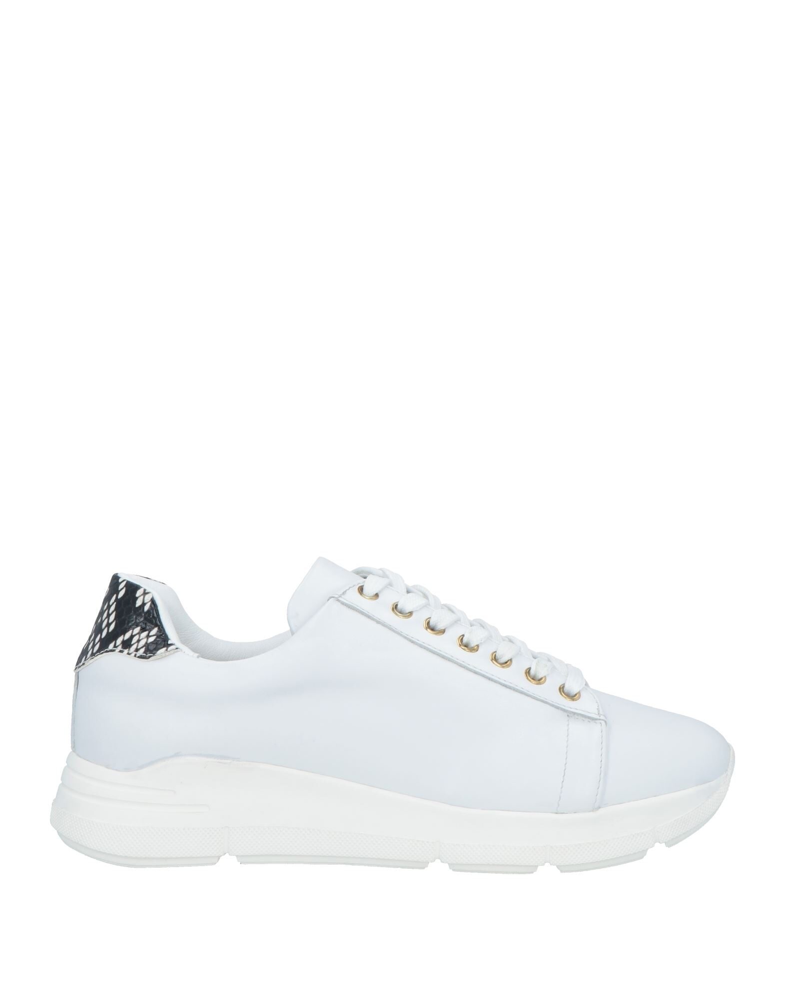 ROBERTO BOTTICELLI - Sneakers