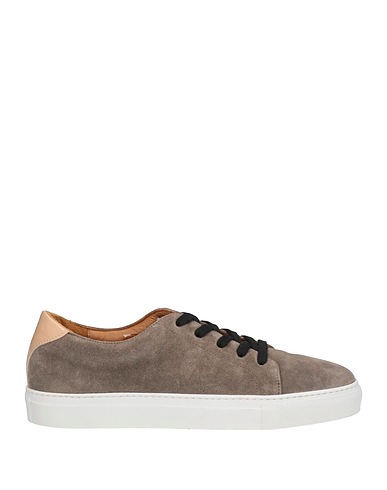 STUDIO POLLINI