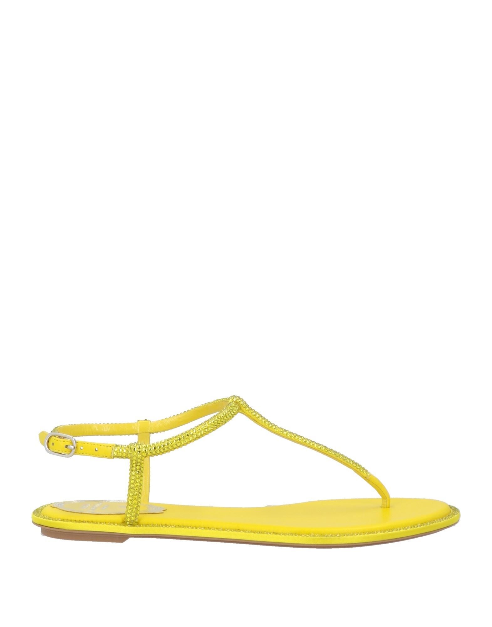 RENE' CAOVILLA - Thong sandals