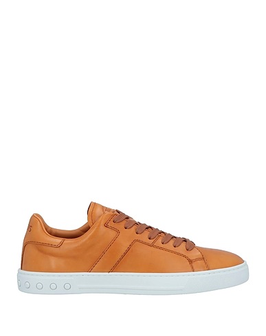 TOD'S Sneakers Cammello Pelle