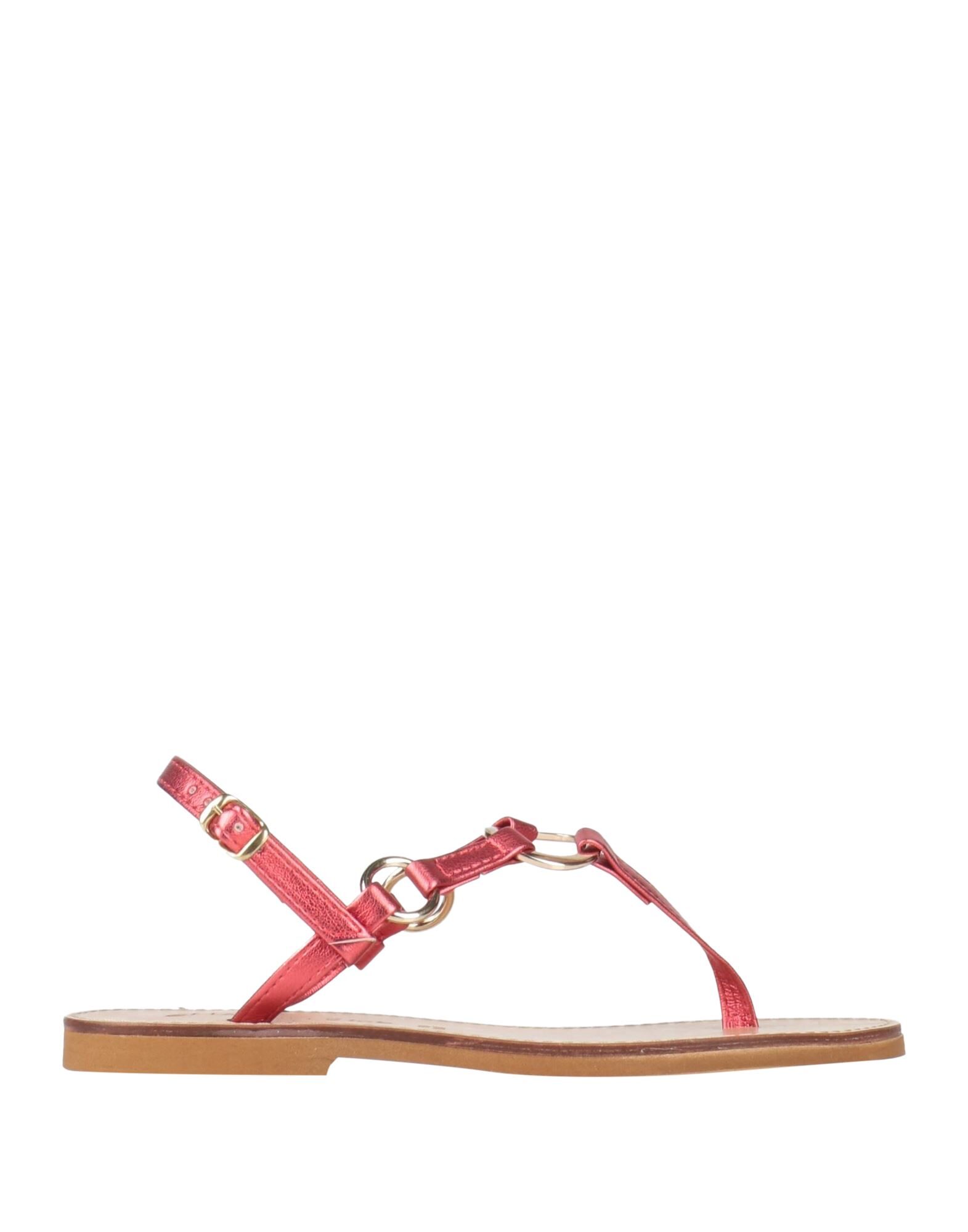 CHATULLE - Sandalias de dedo