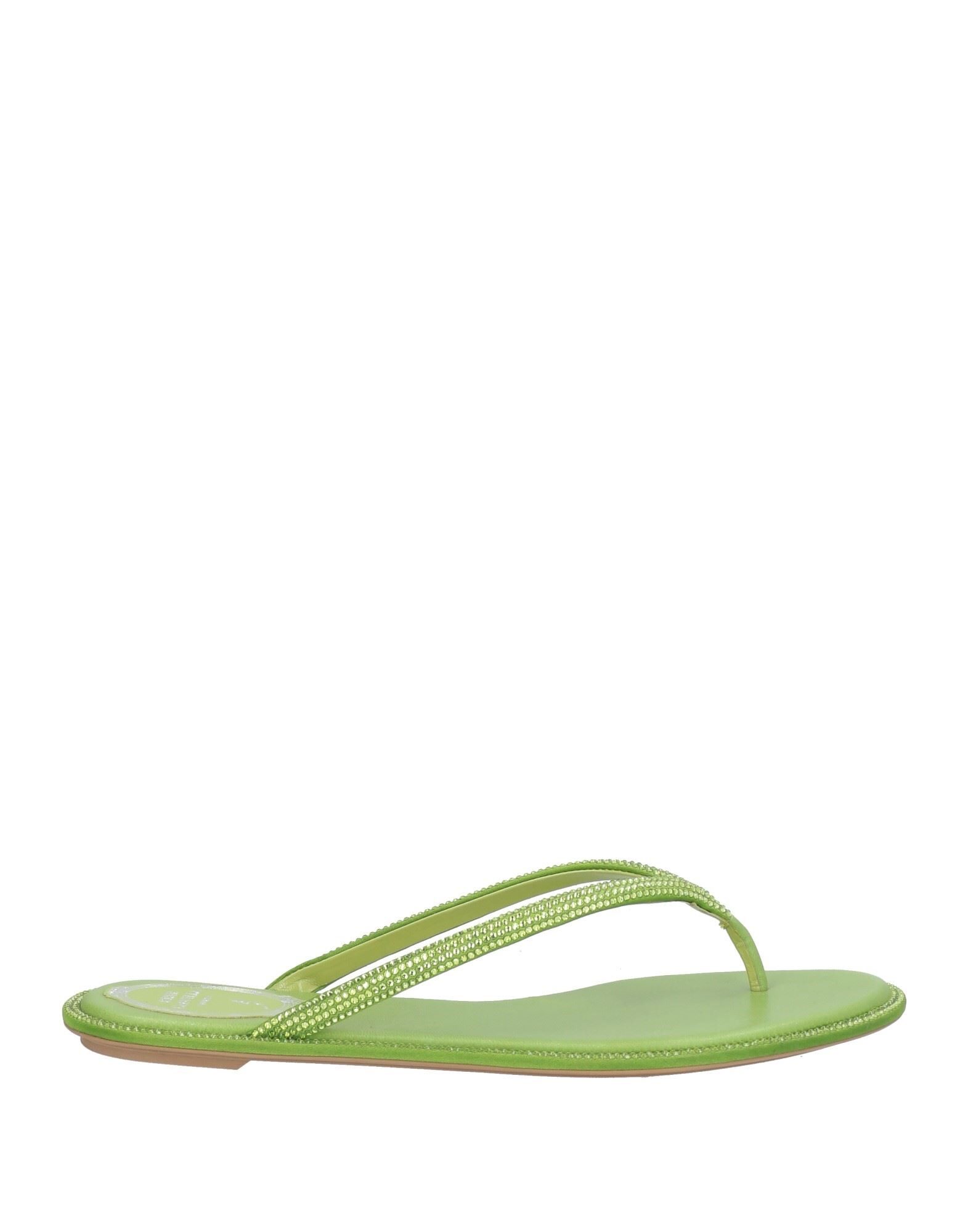 RENE' CAOVILLA - Thong sandals