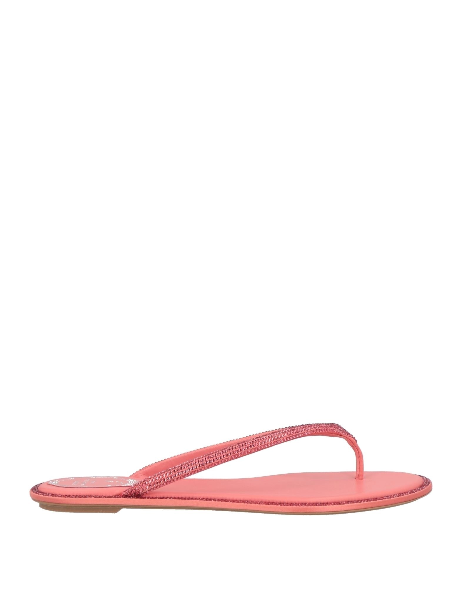 RENE' CAOVILLA - Thong sandals