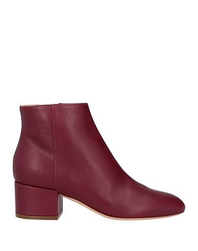 SERGIO ROSSI Ankle boot Garnet Leather