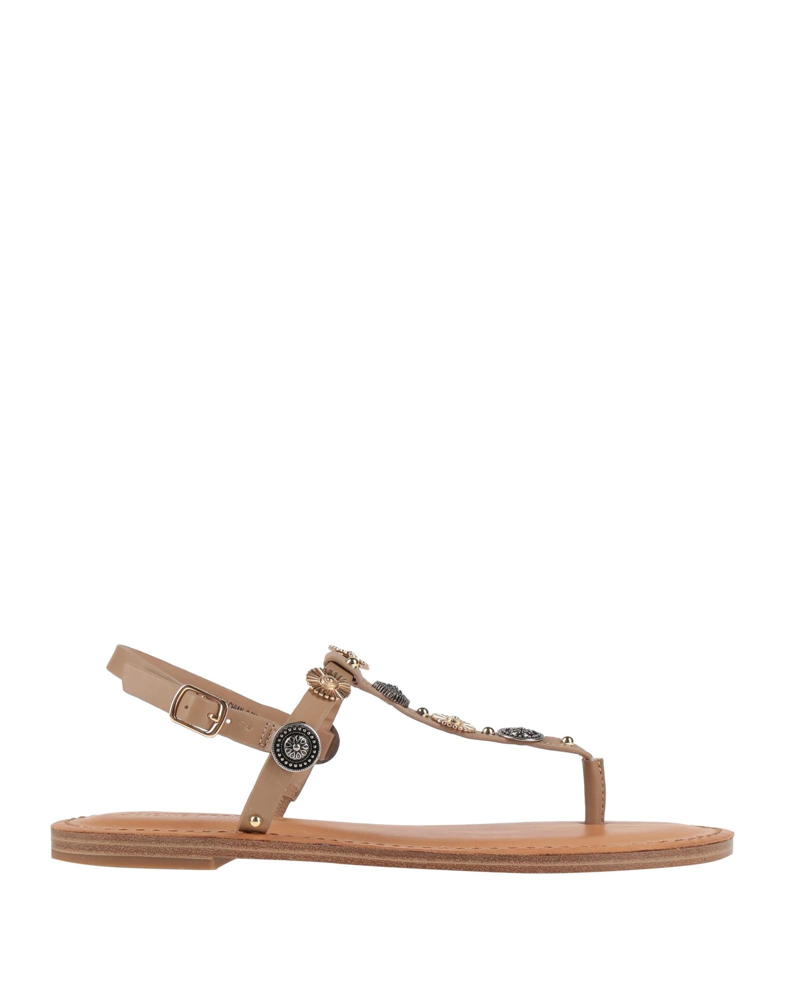 STEVE MADDEN - Thong sandals