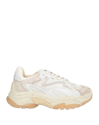 ASH Sneakers Beige Pelle