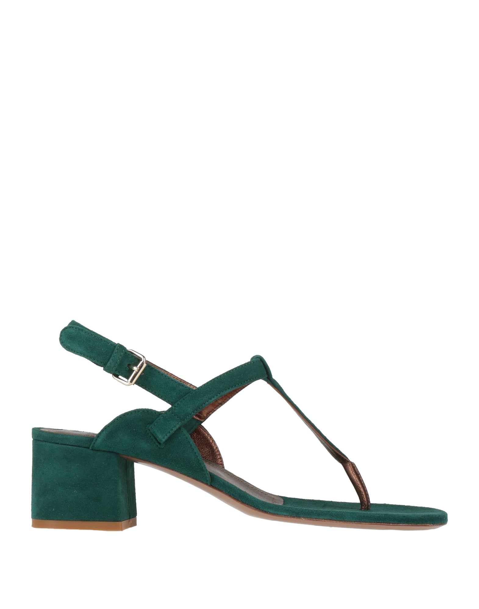 RELAC - Σαγιονάρες