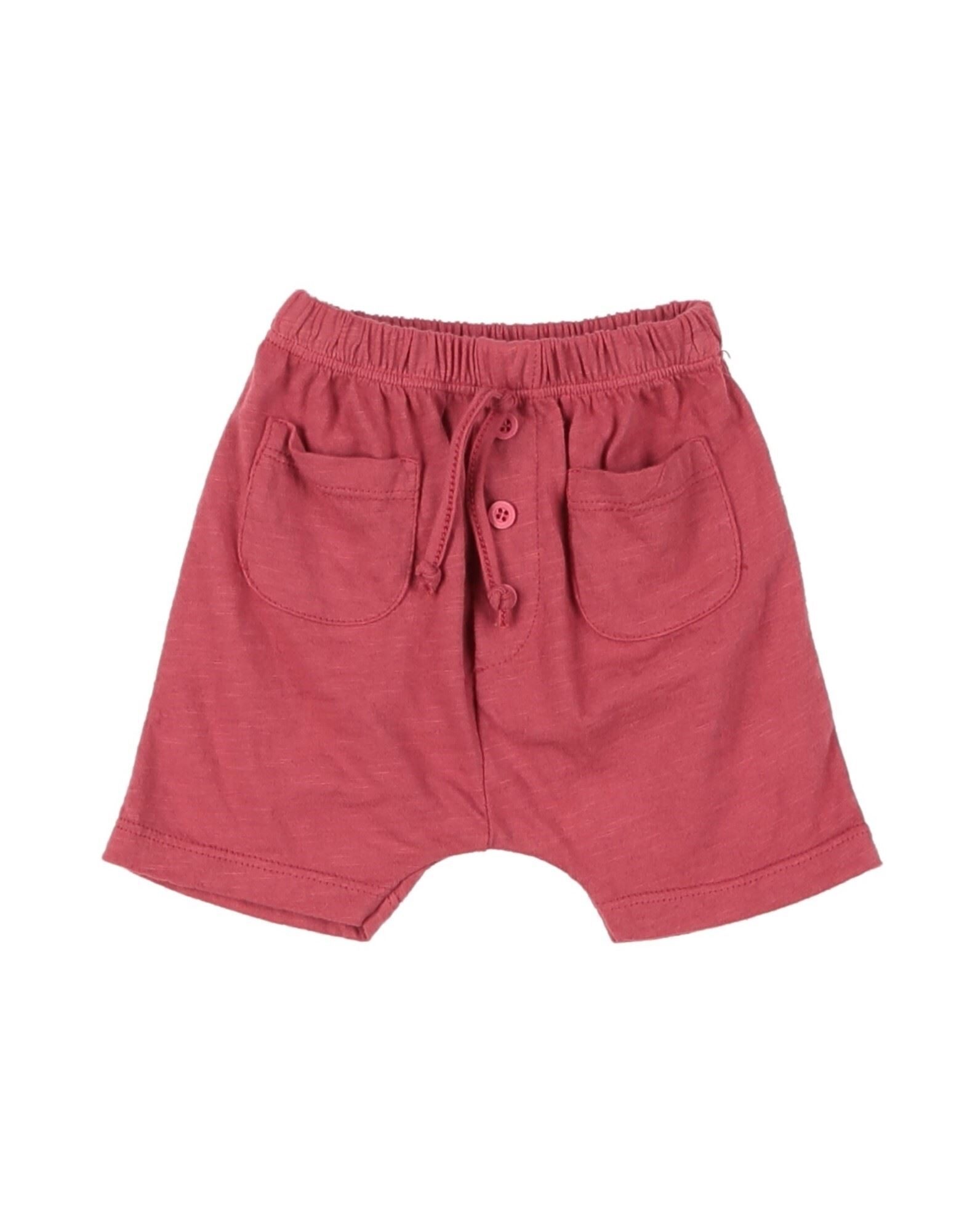 AVENTIQUATTRORE - Shorts & Bermuda Shorts