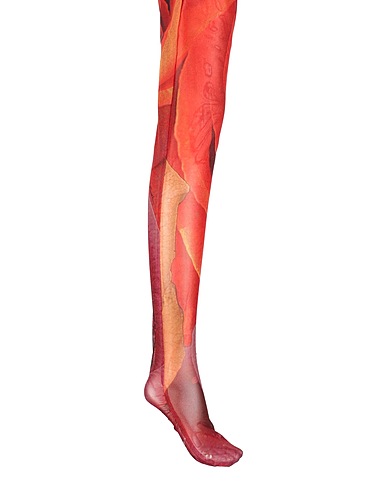 JUST CAVALLI Socks & tights Red 93% Polyamide, 7% Elastane