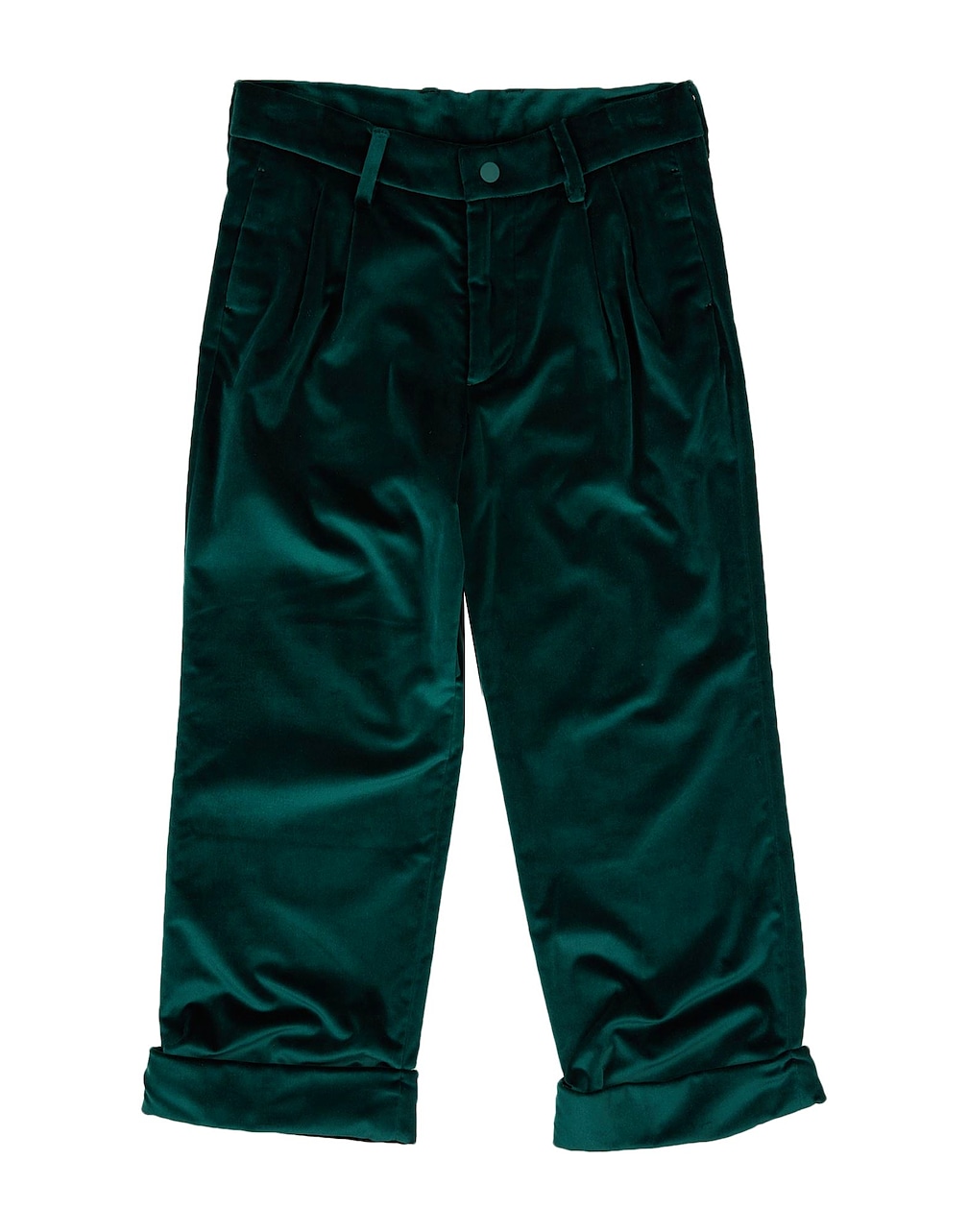 BERWICH - Pants