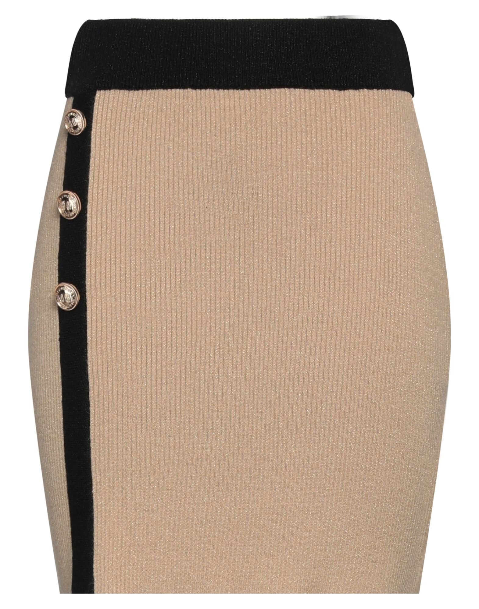 LE VOLIÈRE - Mini skirts