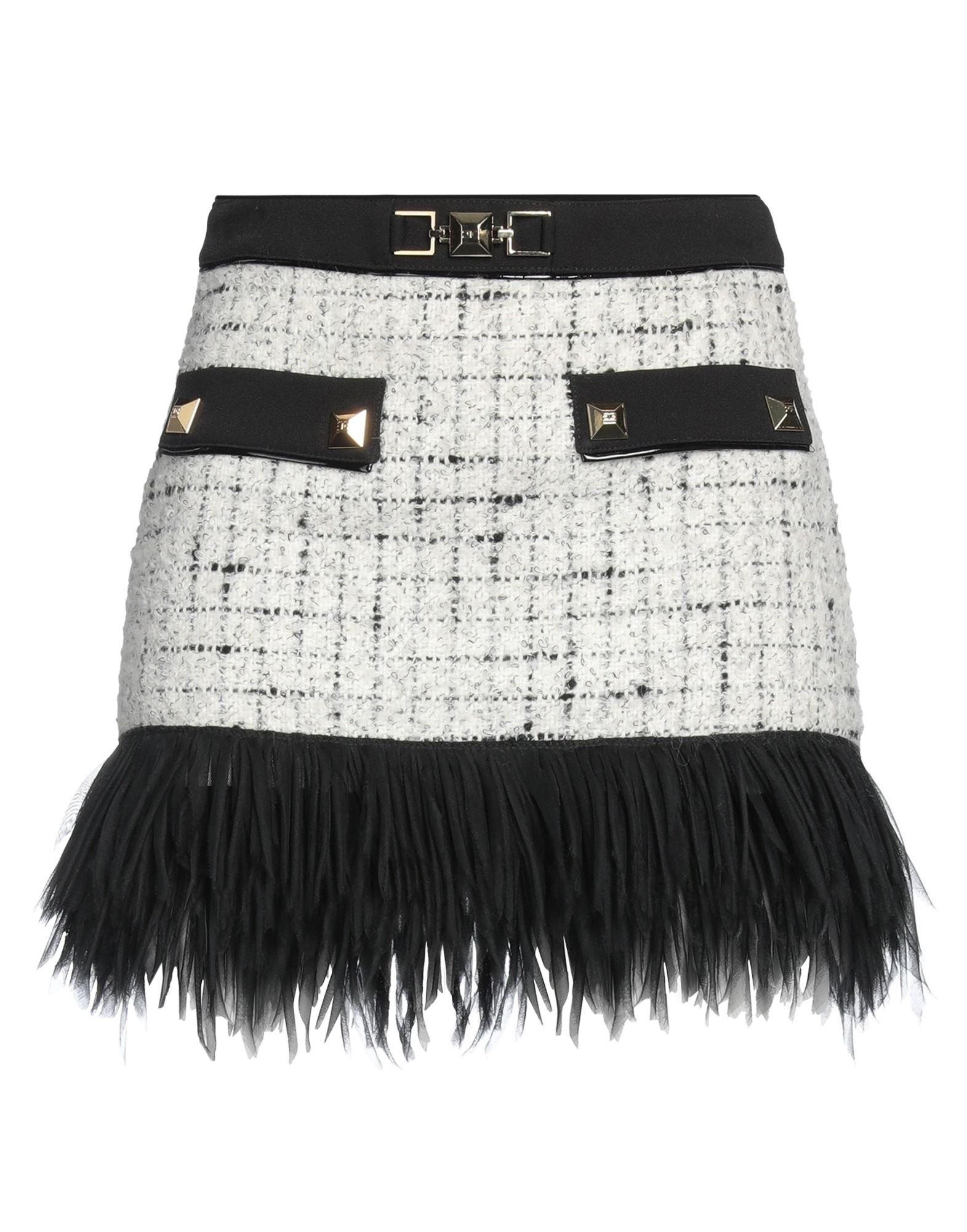 ELISABETTA FRANCHI - Mini skirts