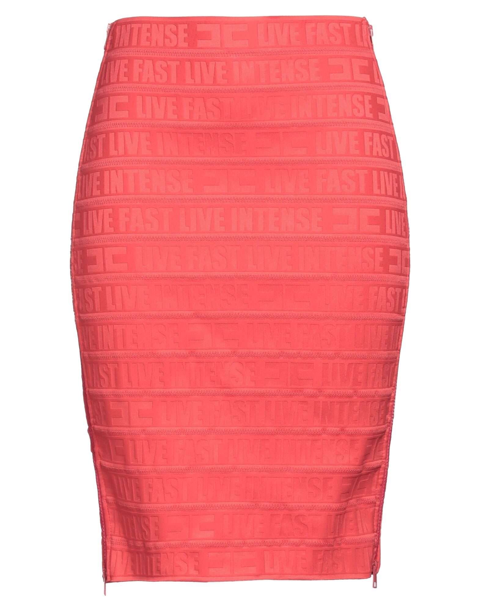 ELISABETTA FRANCHI - Mini skirts