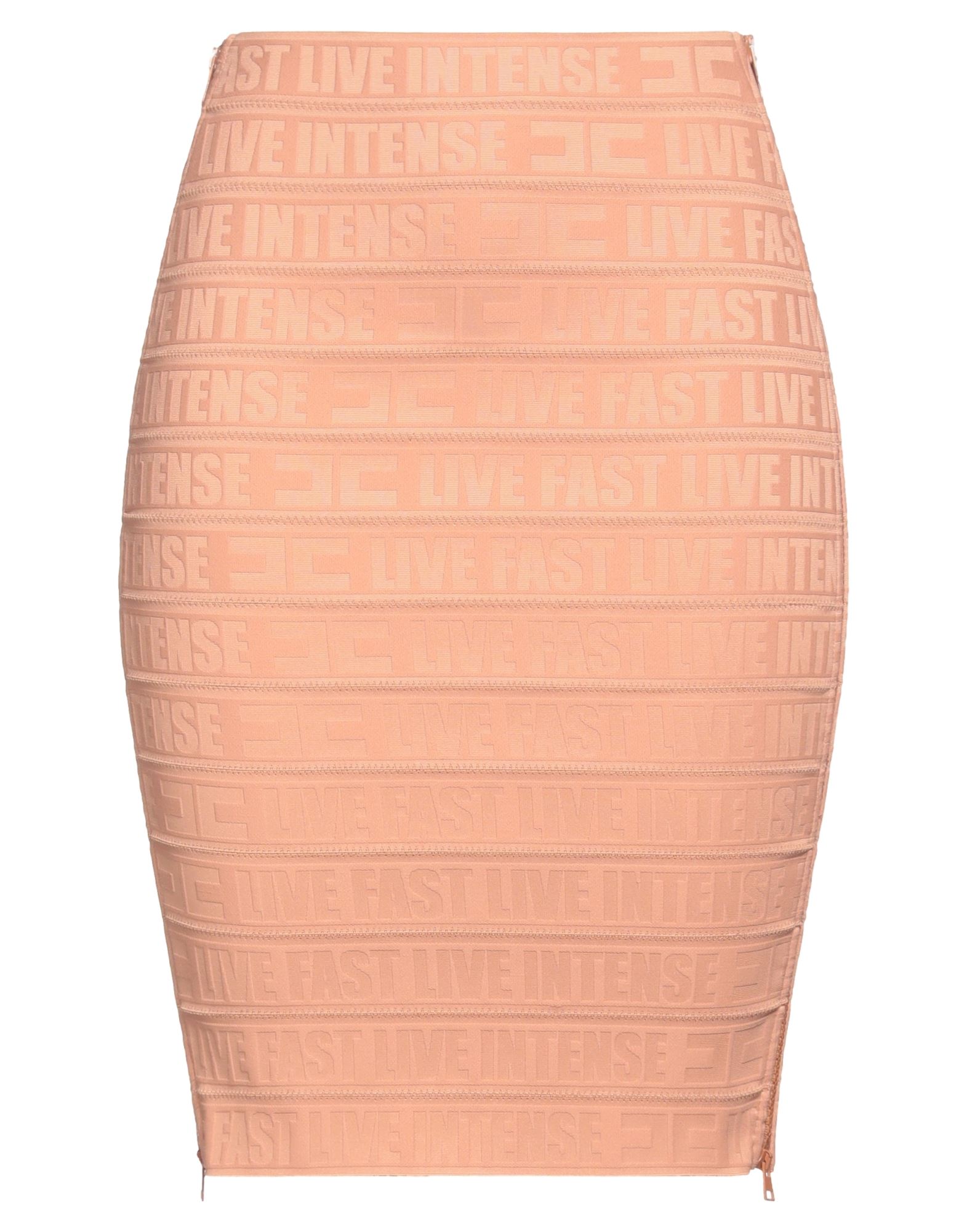 ELISABETTA FRANCHI - Mini skirts