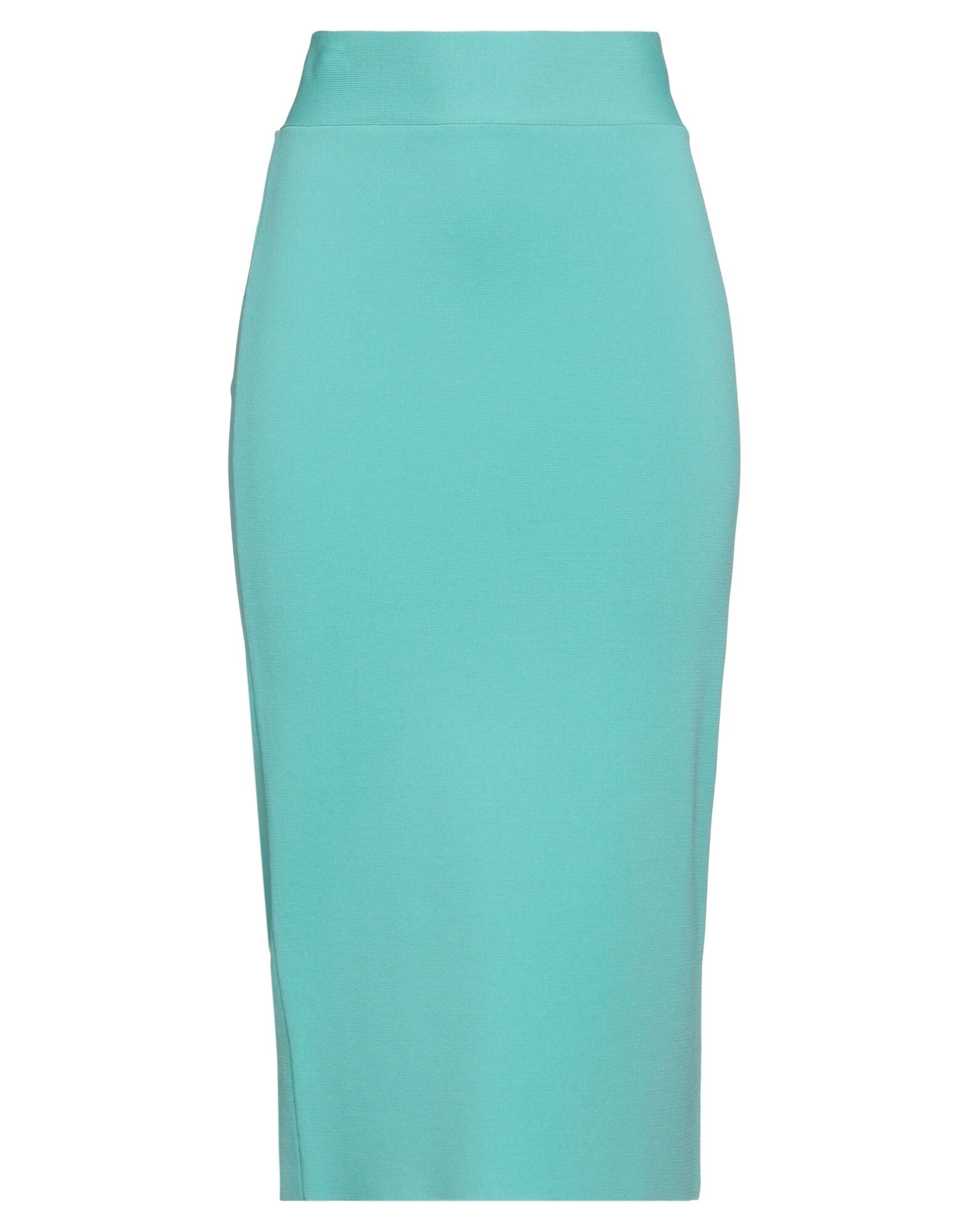 P.A.R.O.S.H. - ミディスカート