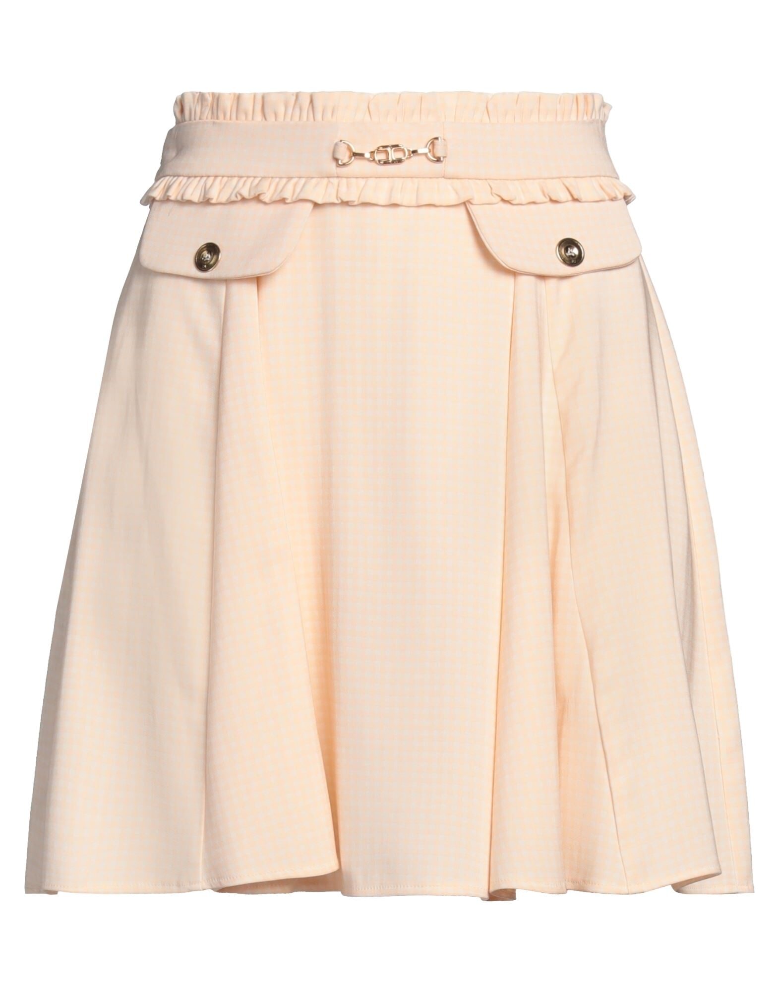 ELISABETTA FRANCHI - Mini skirts