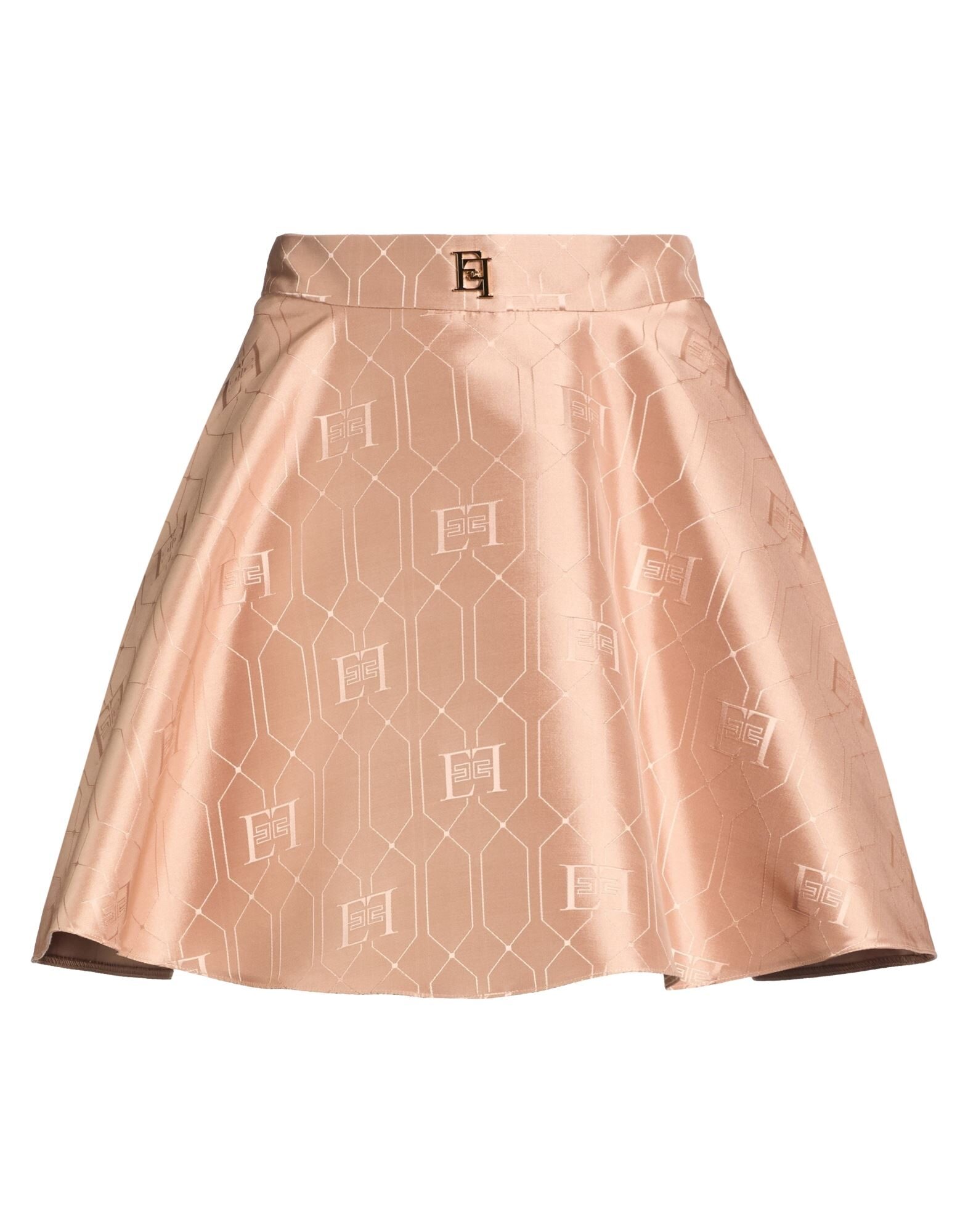 ELISABETTA FRANCHI - Mini skirts