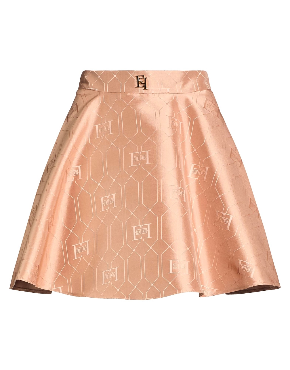ELISABETTA FRANCHI - Mini skirts