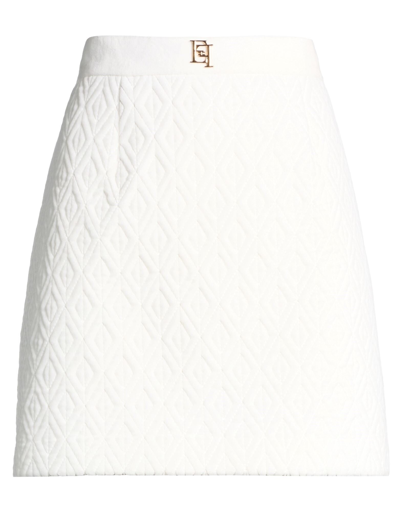 ELISABETTA FRANCHI - Mini skirts