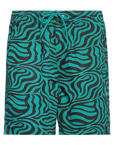 DICKIES Shorts & Bermudas Aquamarin 100% Baumwolle