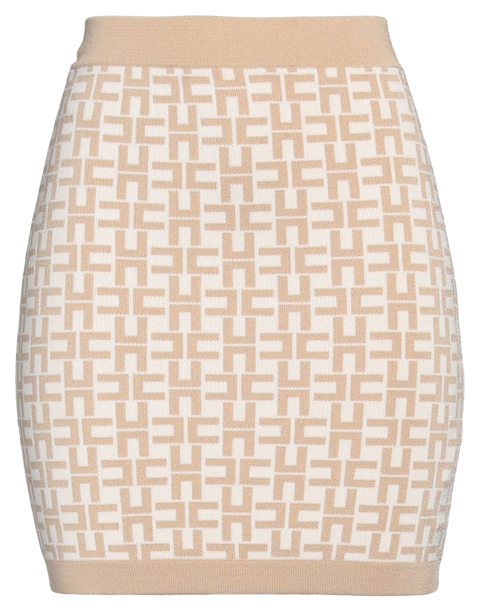 ELISABETTA FRANCHI - Mini skirts