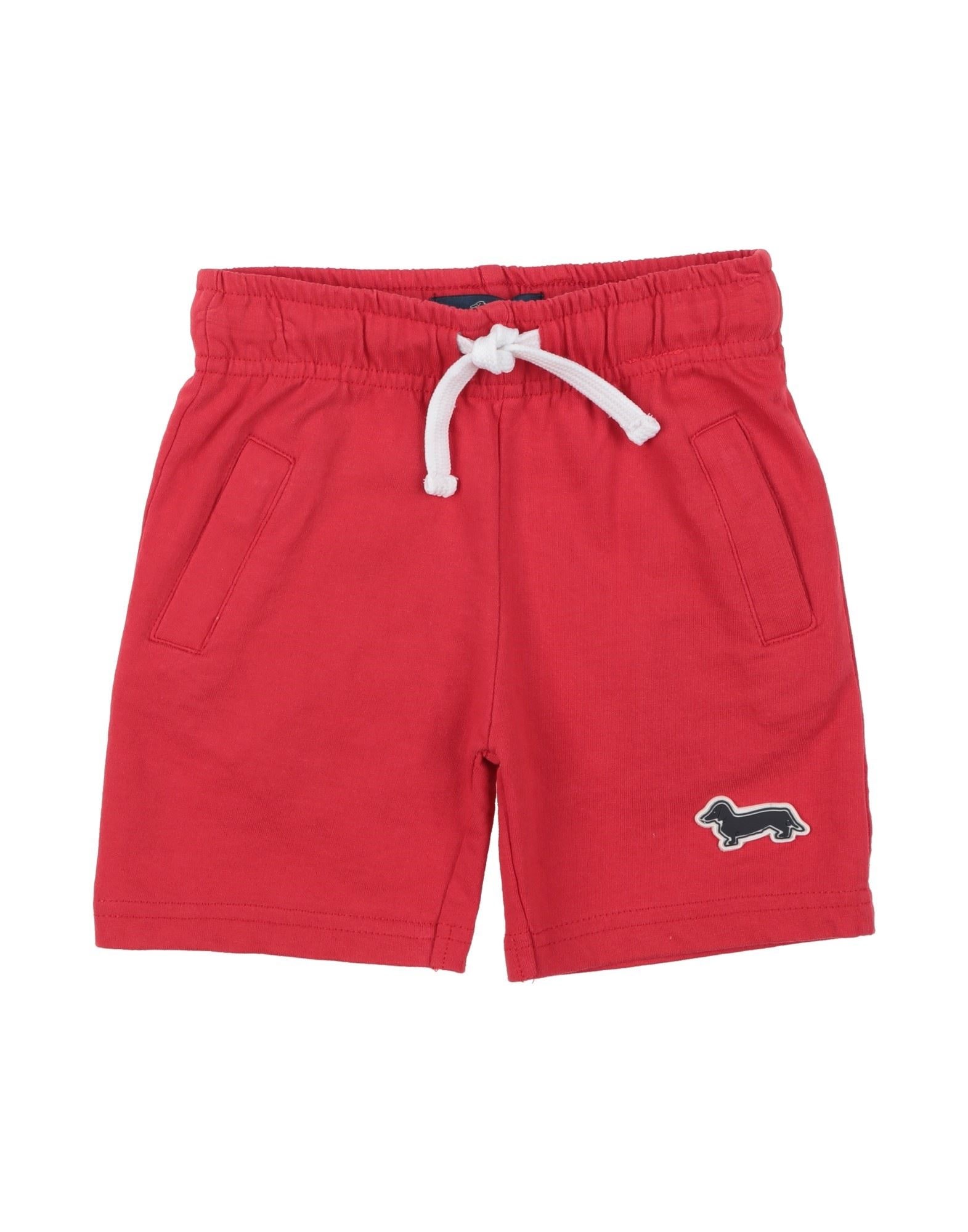 HARMONT & BLAINE - Shorts & Bermuda Shorts