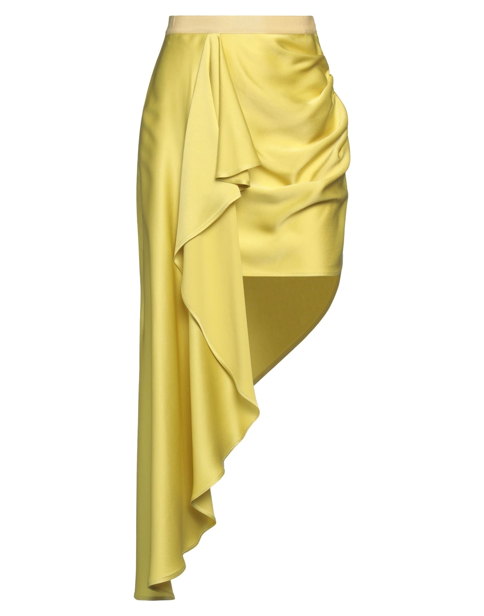 ELISABETTA FRANCHI - Midi skirts