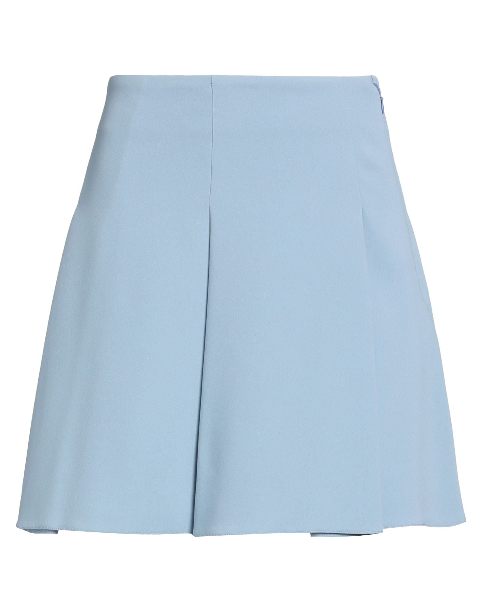 ELISABETTA FRANCHI - Mini skirts