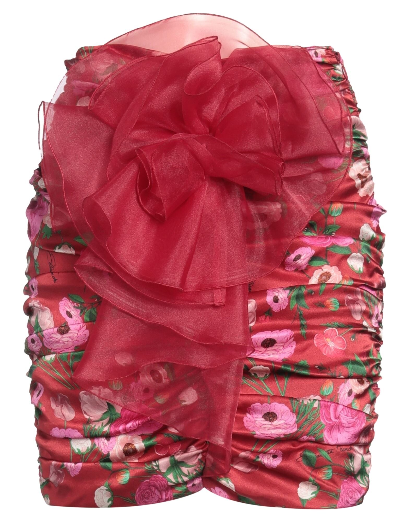 ELISABETTA FRANCHI - Mini skirts