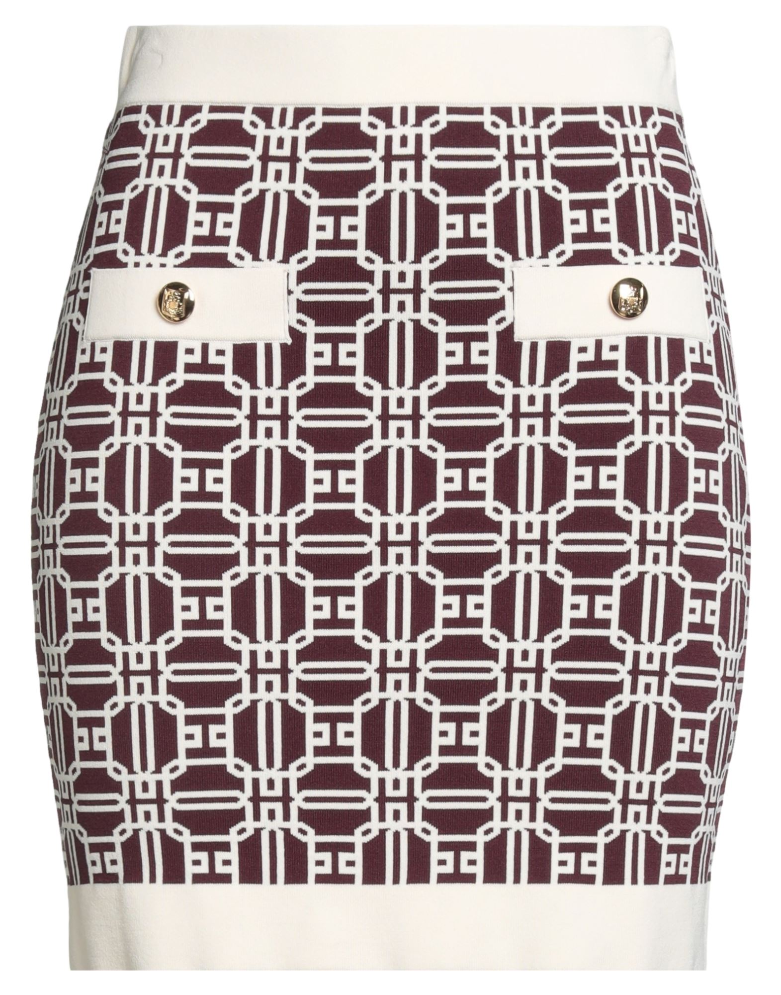 ELISABETTA FRANCHI - Mini skirts