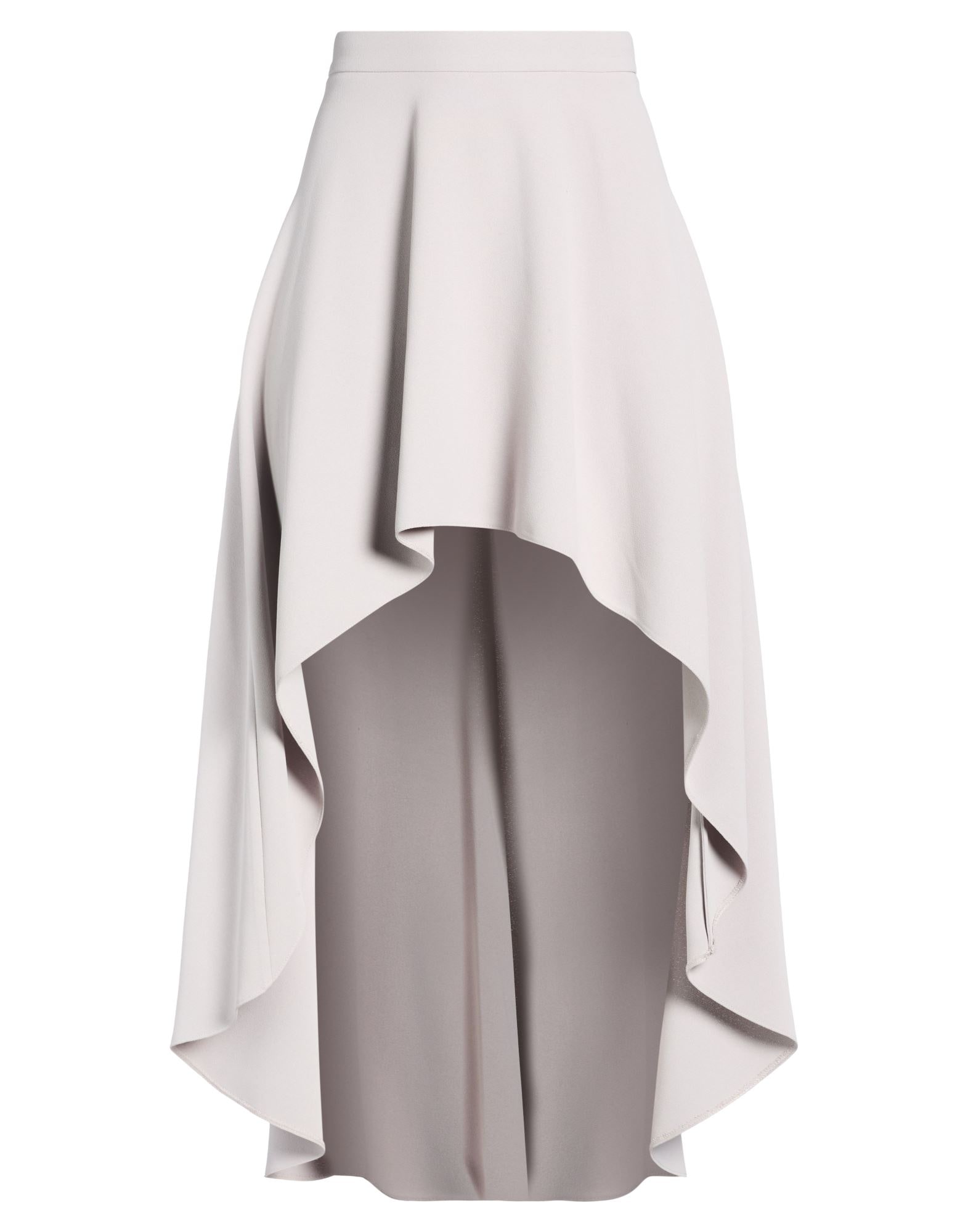 ELISABETTA FRANCHI - Maxi skirts