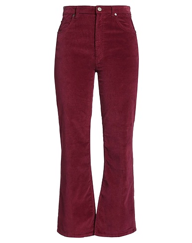 PT Torino Hosen Purpur 97% Baumwolle, 3% Elastan