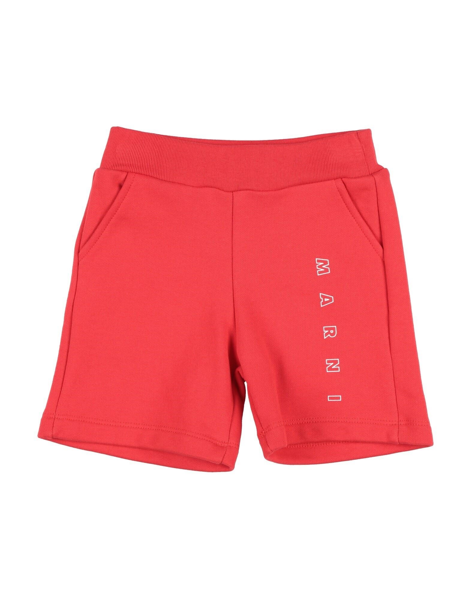 MARNI - 쇼츠 & 버뮤다 팬츠